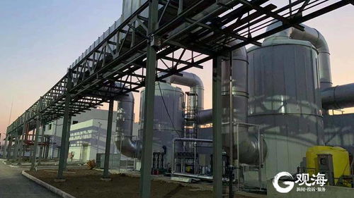 设计处理能力500吨 日,青岛首个厨余垃圾处理项目调试运行